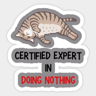 Certified Expert in Doing Nothing: Embracing Relaxation Tshirt Sticker